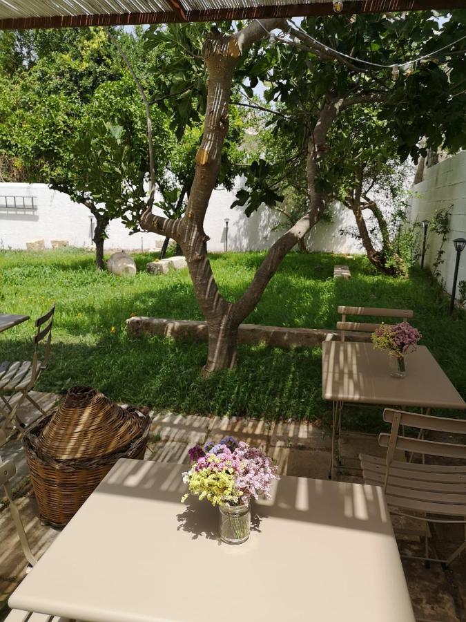 Casa Frea Dimora Storica Bed & Breakfast Martano Ngoại thất bức ảnh